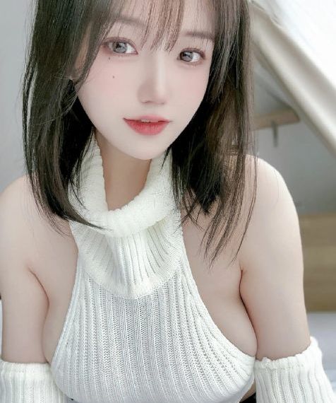 天鹅羽翼