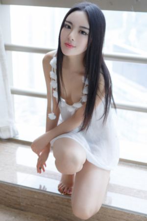 《熊出没之猎鹰熊岛》