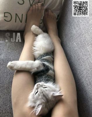 朋友的姐姐中字