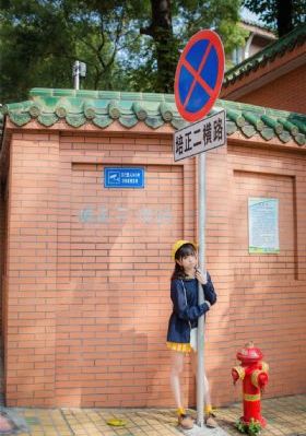 新版上甘岭在线观看