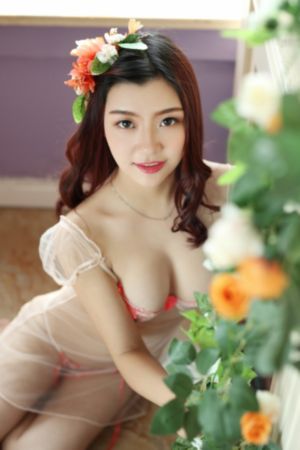 桃花坞第四季免费观看完整版高清