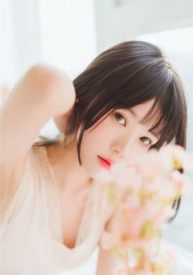 兔子先生第四季在线观看免费
