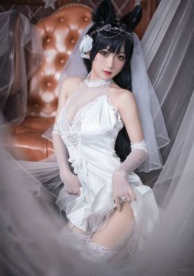 苍兰诀电视剧免费观看