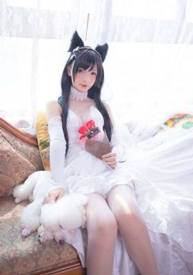 《陆贞传奇》免费观看